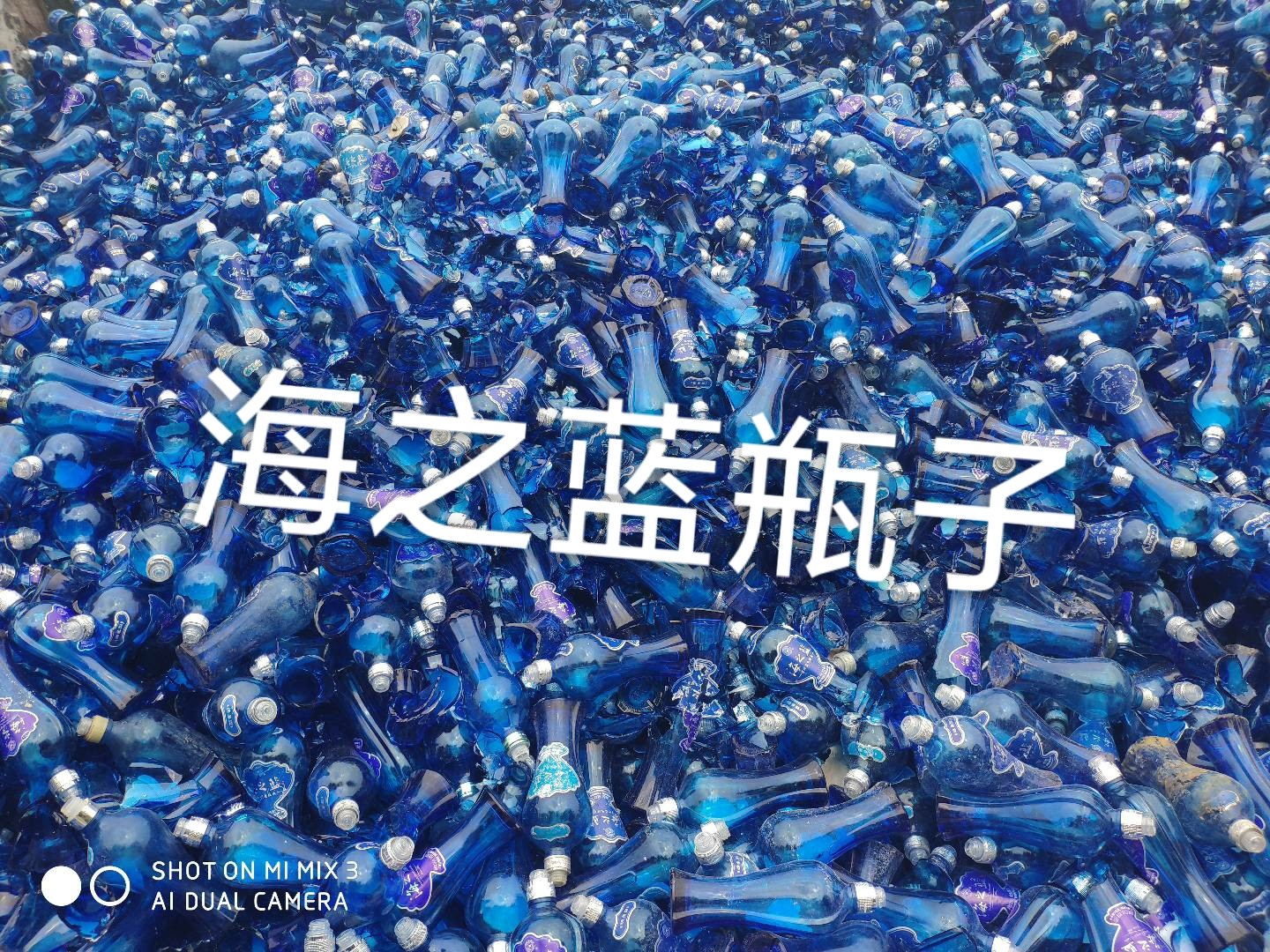 东台海之蓝瓶回收