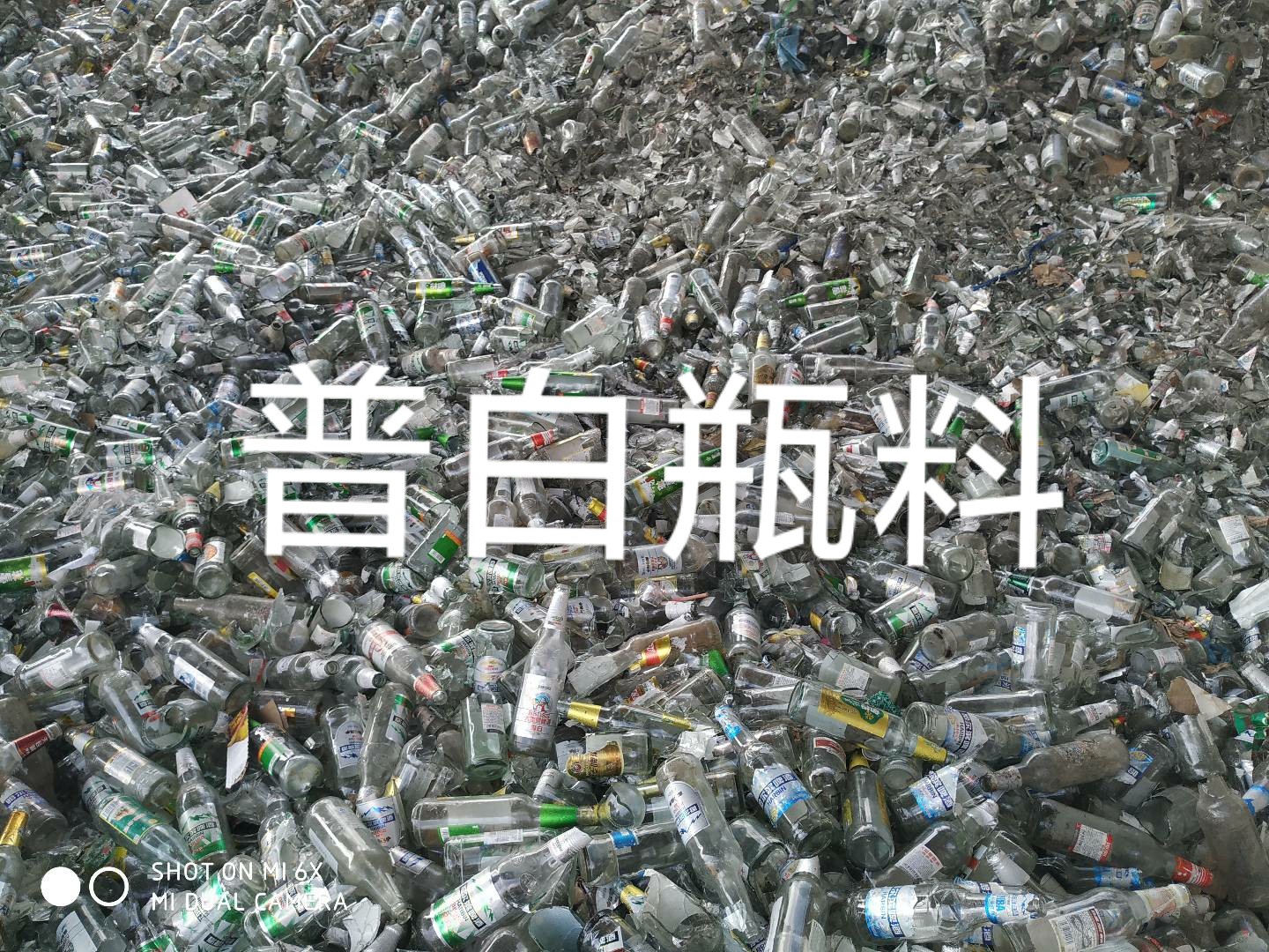 东台普白瓶料回收